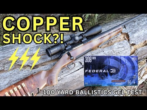 TOO DEEP?! 308 Winchester Federal Powershok Copper AMMO REVIEW