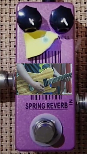 Maxed spring reverb? 😱 yes full spring reverb still sounds GREAT! #mosky #springreverb