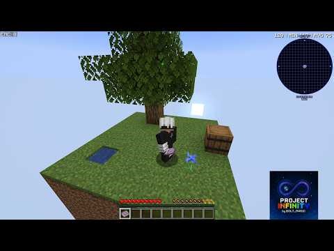 The Beginning - Minecraft Project Infinity (#1)