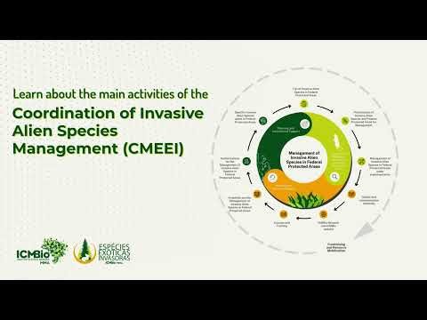 Main activities of the Coordination of Invasive Alien Species Management (CMEEI/ICMBio)