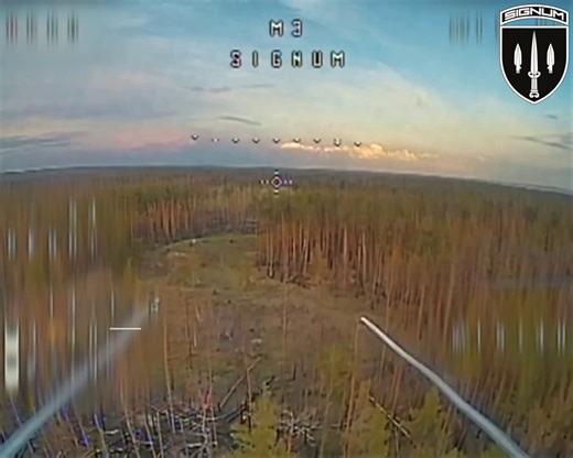 Drone units of Ukraine’s 53rd Mechanized Brigade destroyed a North Korean Type-75 MLRS and 4 artillery guns on the Lyman axis. The strikes targeted well camouflaged positions, requiring coordinated detection and precision engagement. #Ukraine