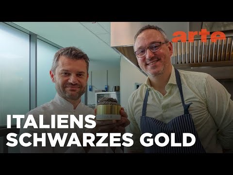 Kaviar, das schwarze Gold Italiens | GEO Reportage | ARTE Fernweh