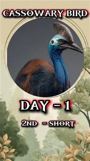 The World’s Most Dangerous Bird ⚠️