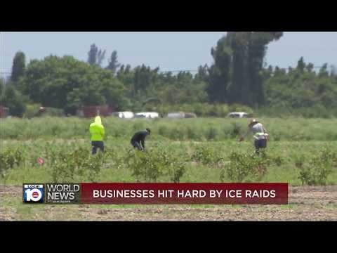 Deportation fears impacts nursery business in Miami-Dade
