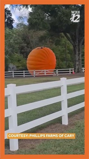 The Great Pumpkin Escape in North Carolina