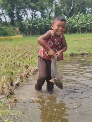 Amazing Boy Catching Fish By Hand