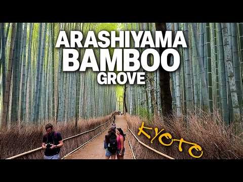 Arashiyama Bamboo Grove - Kyoto