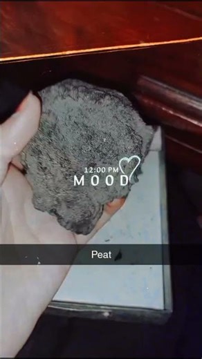 Different types of coal....Peat Lignite, Bituminous, Anthracite