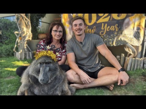 Cindy The Baboon’s 2025 Wrapped