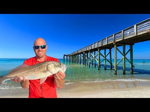 Fishing Florida's Bays and Piers Eating Everything We Catch! (feat. Zach Fowler)