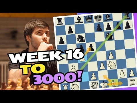 GETTIN' PECKIN' with BIRDS OPENING | Week 16 to 3000
