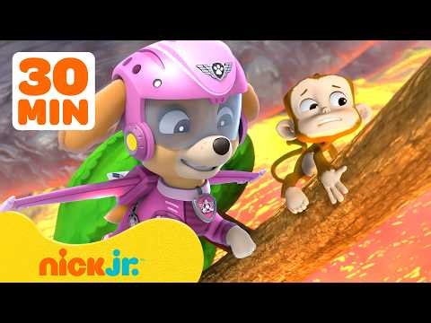 Paw Patrol | ¡Rescates en la Casa del Árbol! 🌳 con Skye | 30 Minutos | Nick Jr. en Español