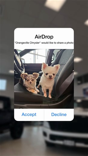 Orangeville Chrysler would like to send you an airdrop 👀📲
