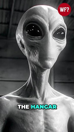 Alien Survivor Found: A Strange Discovery #shorts