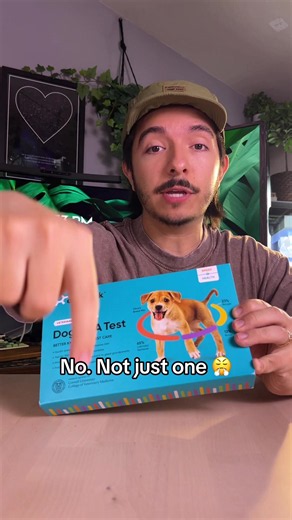 Embark dog DNA test breed and health kit dog ancestry genetic health screening pet owner gift TikTok Shop deals sale #tiktokshopcreatorpicks