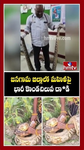 Python Attack On Woman | hmtv