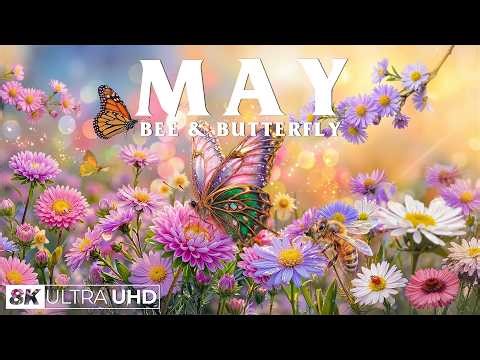 Springtime Splendor 4K | Spring Flowers, Butterflies & Buzzing Bees 🌸 Relaxing Nature Scenery