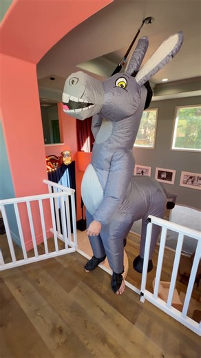 Donkey falls off balcony! 🫏