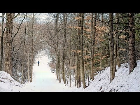 Huron Natural Area Christmastide Soliloquy, Kitchener ON Canada