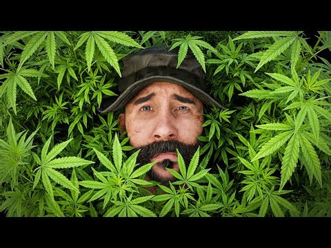 ACTIVISION ¿QUE TE has FUMADO para HACER ESTO?