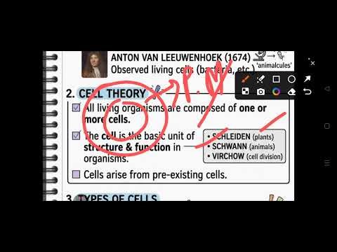Cell – Basic Unit of Life | Cell Theory & Cell Types (Easy Explanation)