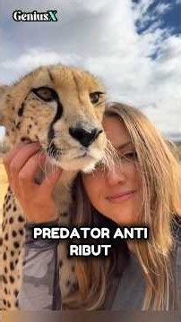 Ngakunya Predator, Diajak Gelut Malah Cabut