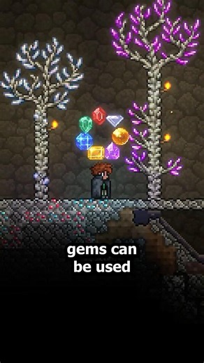 BEST Gem Facts in Terraria!