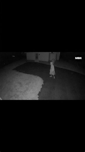 Hey Weirdo, you got two more months before Halloween! My Arlo camera say HI! LOL