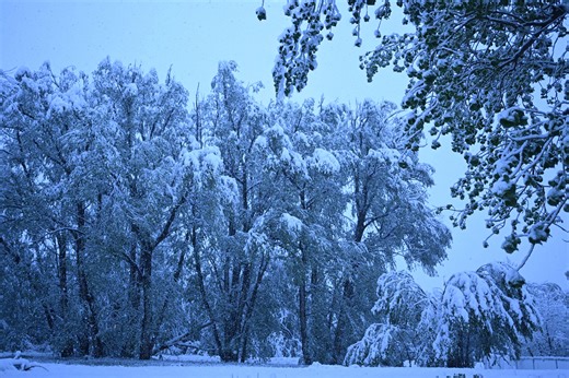 Recap: Rockies May snowstorm dumped 30+ inches of snow in Colorado; heaviest of season in Cheyenne, Wyoming