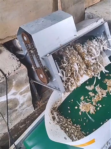 Efficient Belt-Type Automatic Manure Removal System