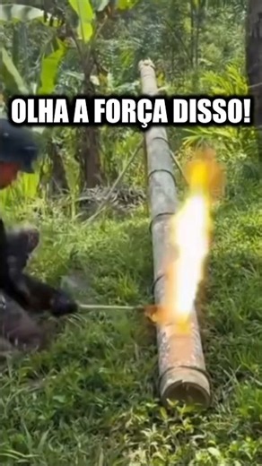 O poder IMENSO dos canhões de bambu