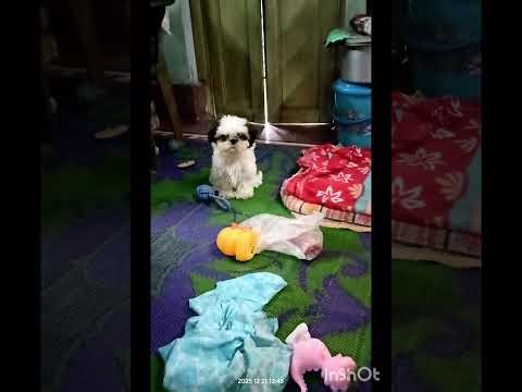 Laddur sathe ♥️♥️♥️