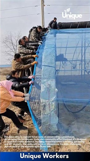 Building a Greenhouse: Team Installs Plastic Sheet Covering Frame Structure