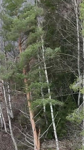 Could You Anticipate This?