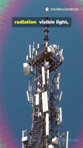 This Particle Rules the Universe #physics #photon #light #particles #interestingfacts