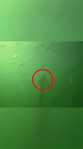 Mythical Creatures Caught On Camera 🤯