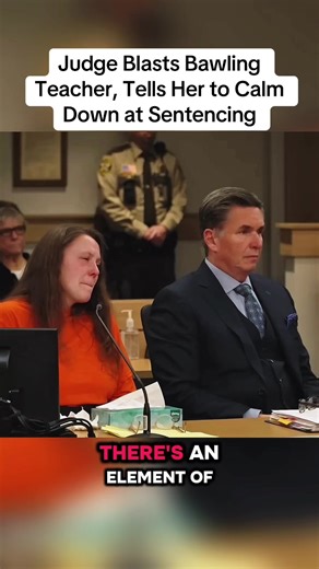 Madison Bergmann bawled during her sentencing after she pleaded guilty to three criminal counts involving an inappropriate relationship with her fifth-grade student. The judge sentenced her to six years in prison, followed by six years of extended supervision. She also has to register as a sex offender in Wisconsin. After the judge read the sentence, Bergmann was asked to calm down so they could continue. #crime #truecrime #case #fyp #court