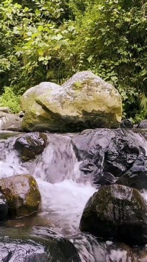 Beautiful Mountain River Flowing Sound. Forest River, Relaxing Nature Sounds/ Sleep/ Relax 10 hours.