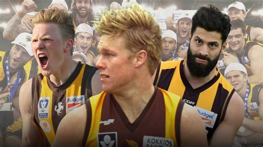 Last pair standing: Why Box Hill and Hawthorn’s ‘experiment’ thrived