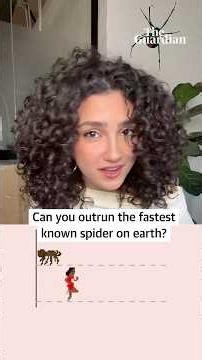 Can you outrun a huntsman?