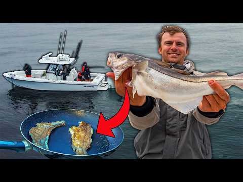 The BEST Tasting Fish in the Ocean??