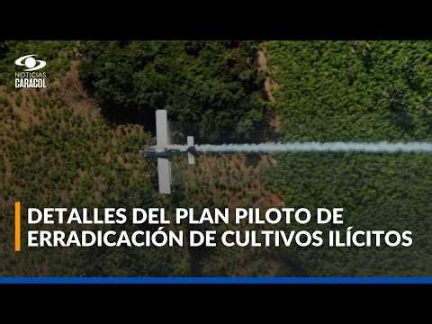 Policía Antinarcóticos destruyó pista clandestina de alias Iván Mordisco en el Pacífico