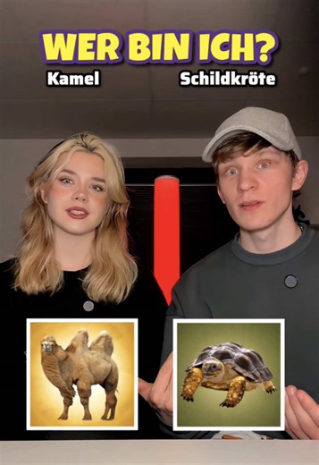 Tier-Edition: Wer bin ich? Lustiges Ratespiel mit Freunden