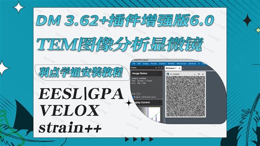 GMS-Digitalmicrograph3.62+EELS++strain++等多个插件电子显微镜实验软件