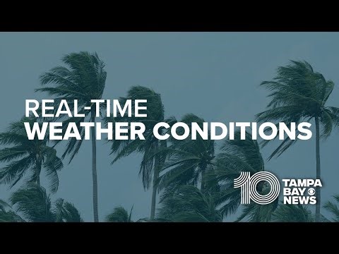 LIVE: Real-time weather conditions across Tampa Bay