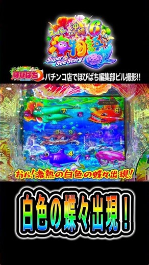 【Pスーパー海物語IN沖縄6】灼熱の白蝶のお出まし‼️#海物語 #沖海6 #ほびぱち #ビル #チャンネル登録お願いします！