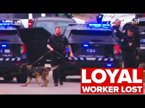1 killed in alleged robbery at Ohio business; suspect at large