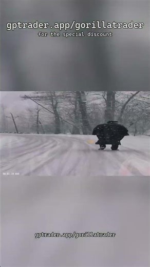 ChatGPT Trading Bot 2026: Automating Profits