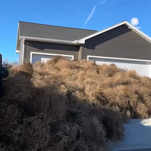 The tumbleweeds are taking over! | AccuWeather