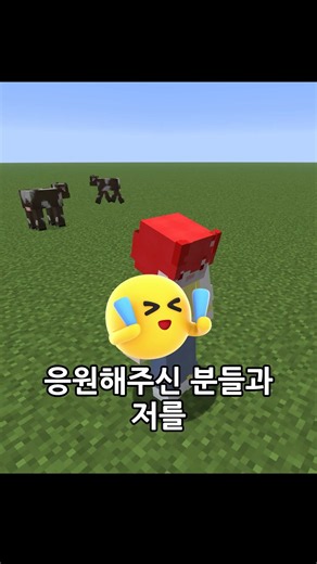 당장 댓글을 다셔야 합니다!!